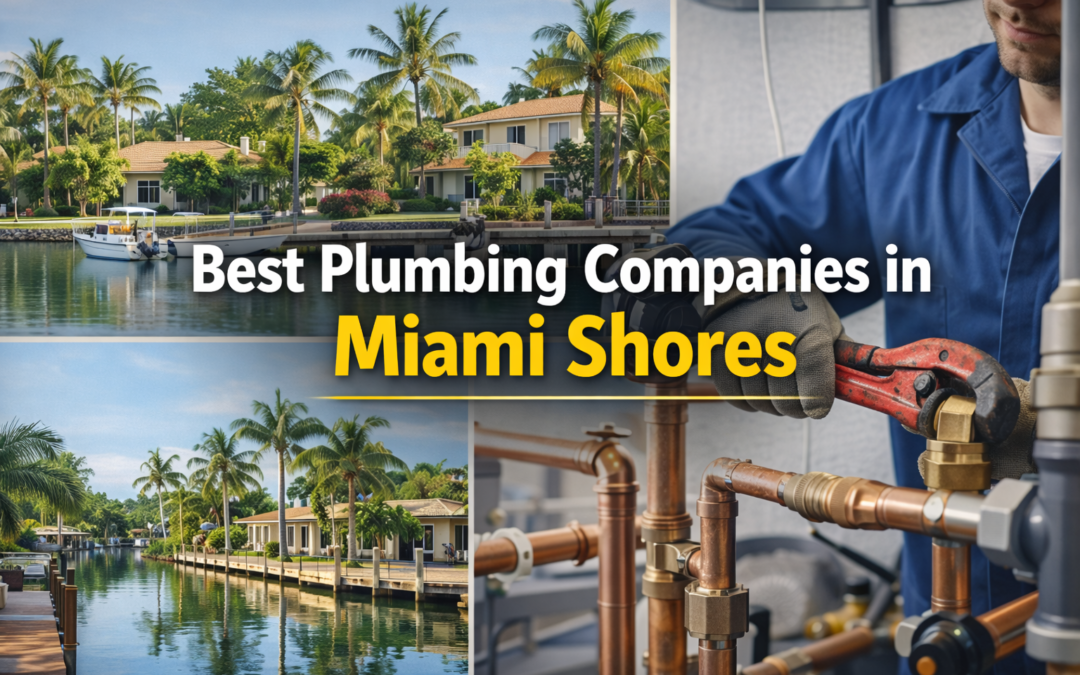 Best Plumbing Companies in Miami Shores