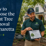 How to choose the right tree removal