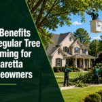 The benefits of tree trimming
