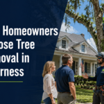 tree removal