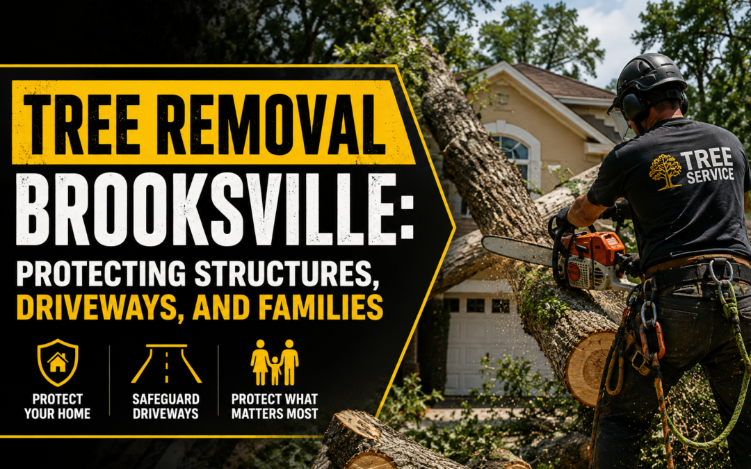 Tree Removal Brooksville: Protecting Structures, Driveways, and Families