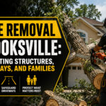Tree removal Brooksville
